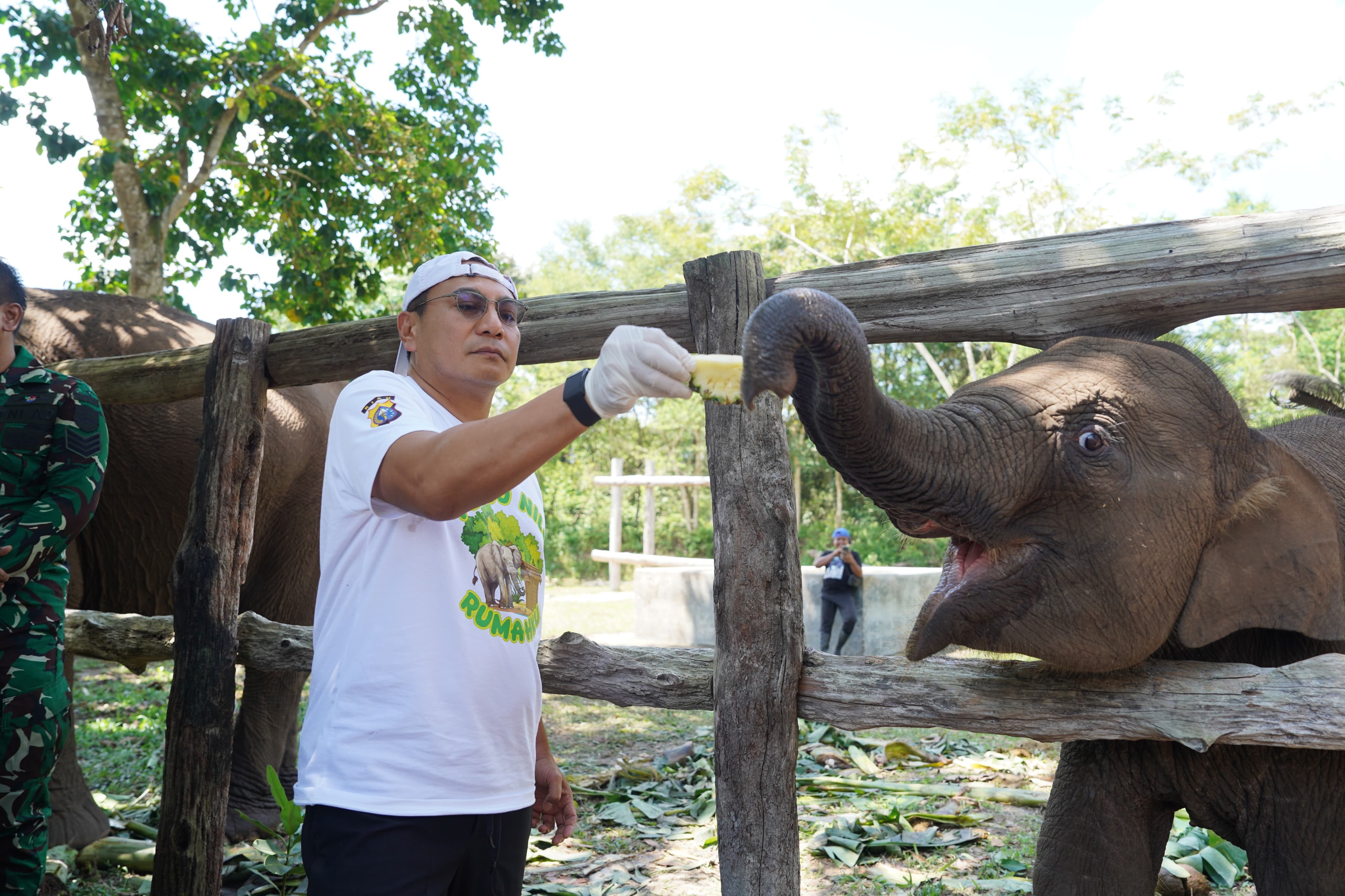 Kapolda Riau Irjen Herry Heryawan Sampaikan Duka Mendalam atas Wafatnya Gajah Tari Kalista Lestari