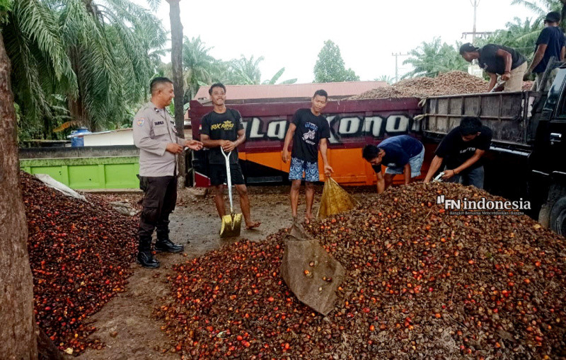 Buruh Sawit Tak Lepas Dari Imbauan Kamtibmas Jelang Pilkada Damai 2024