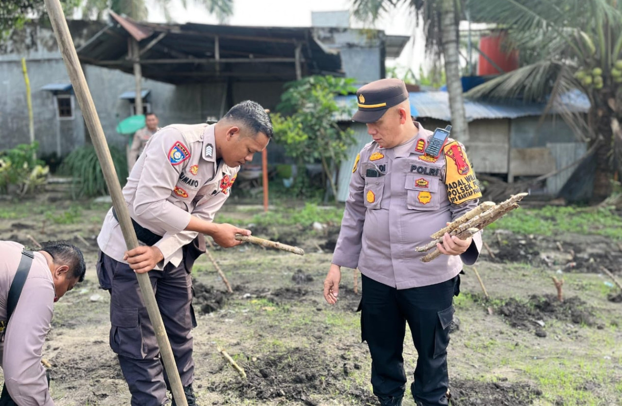 Dukung Program Astacita Presiden Prabowo, Polsek Pujud Tanam Bibit Songkong