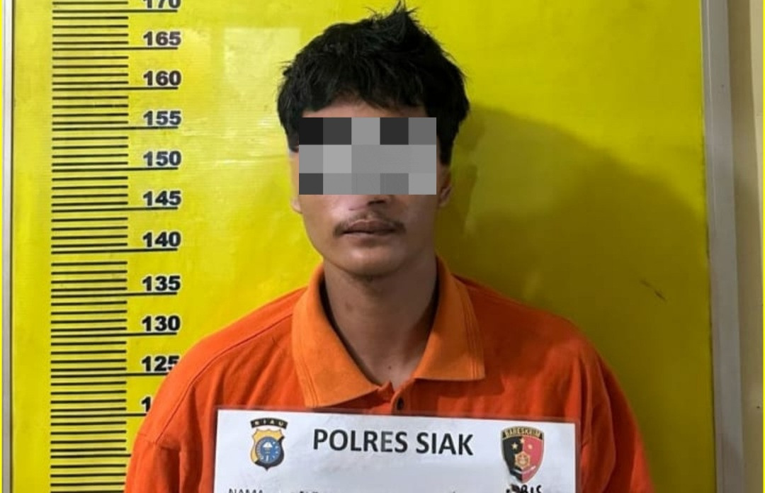 Remaja 19 Tahun Diduga Setubuhi Anak di Bawah Umur, Polsek Kandis Tangkap Pelaku