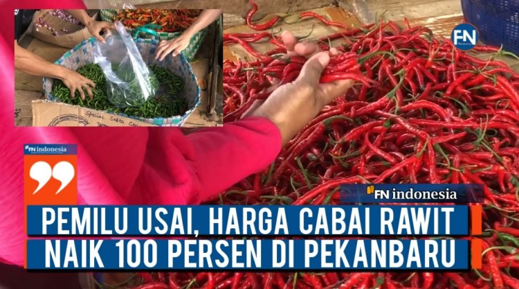 Pemilu Usai, Harga Cabai Rawit Naik 100 Persen di Pekanbaru