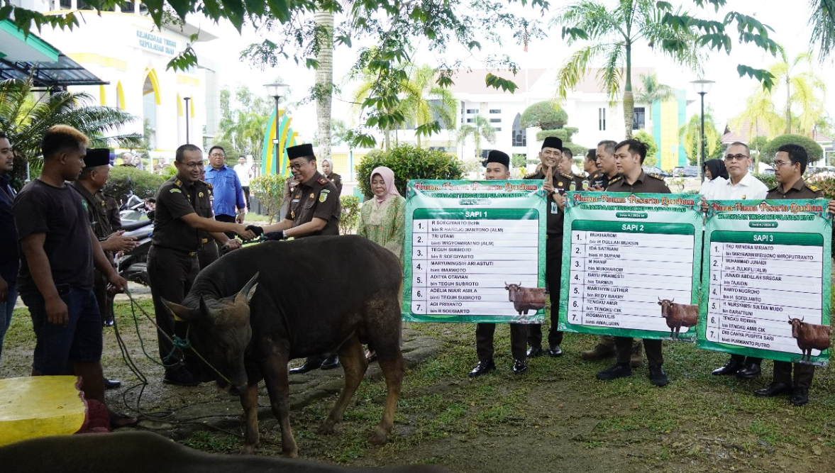 sapi.PNG