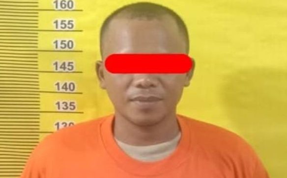 Pelaku Cabul Anak di Bawah Umur Diringkus Polsek Tualang