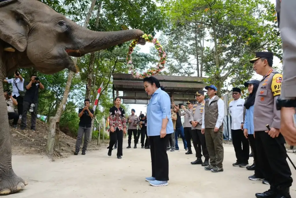Kapolri dan Titiek Soeharto Kunjungi Flying Squad TNTN, Tegaskan Komitmen Lindungi Gajah Sumatera dan Pulihkan Habitat