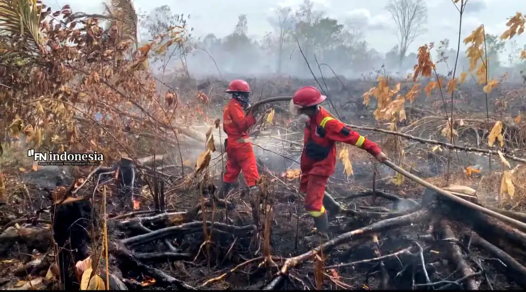 KLH Terbitkan SE Larangan Buka Lahan dengan Cara Membakar, Antisipasi Ancaman Karhutla di Tengah El Nino