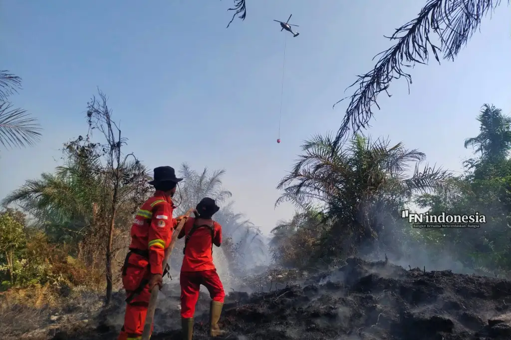 Karhutla Meluas di Sejumlah Wilayah Riau, Manggala Agni Kerahkan Tim Pemadaman