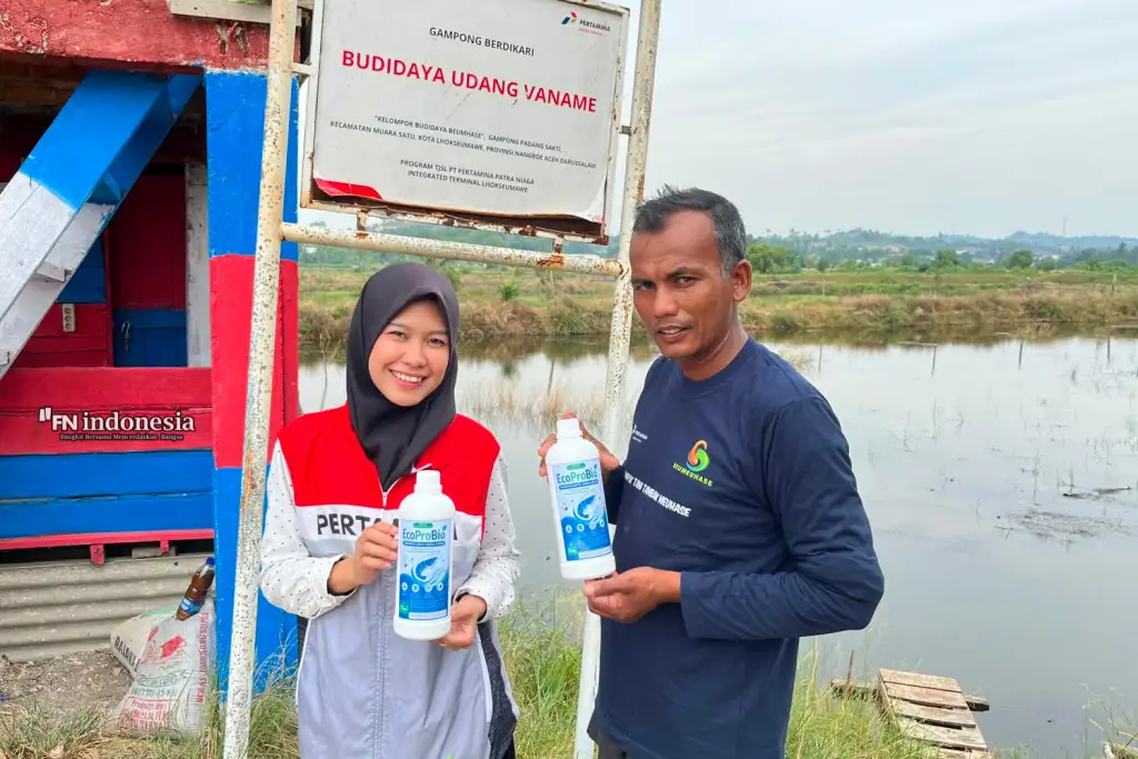 Pertamina Patra Niaga Kembangkan Probiotik MOL, Dukung Petambak Udang Hadapi Perubahan Iklim Melalui Gampong Berdikari