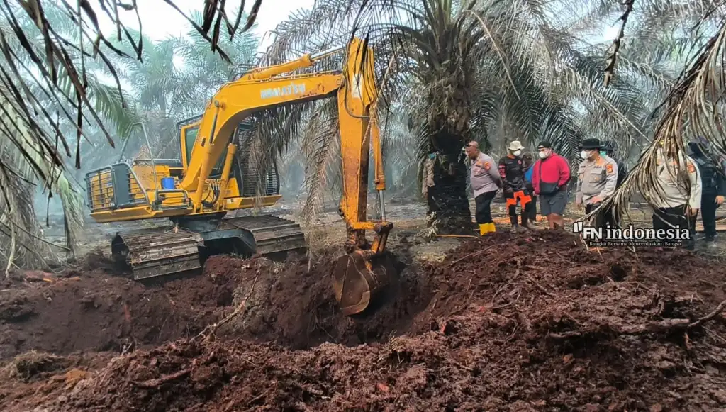 Sumber Air Jadi Kendala, 180 Embung Dibangun untuk Padamkan Karhutla Kerumutan