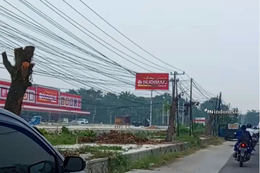 Pohon di Jalan HR Soebrantas Pekanbaru Ditebang, Warga Soroti Kota Makin Gersang