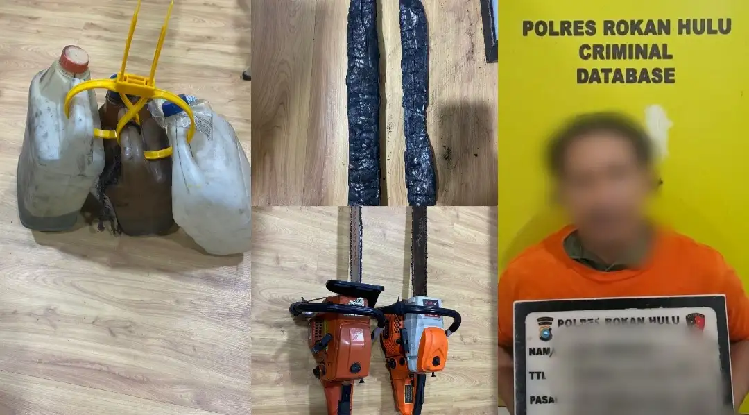 Bakar Lahan 4 Hektare, Pria di Rohul Jadi Tersangka Karhutla dan Dugaan Penyerobotan Kawasan Hutan
