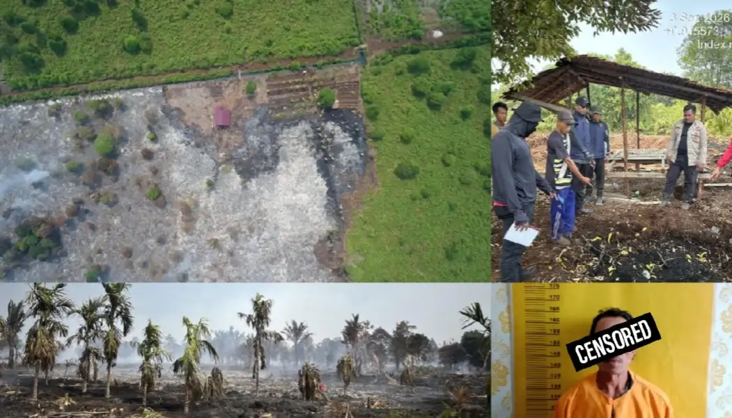 Bakar Lahan, Pria 56 Tahun di Meranti Jadi Tersangka, Karhutla Meluas hingga 85 Hektare